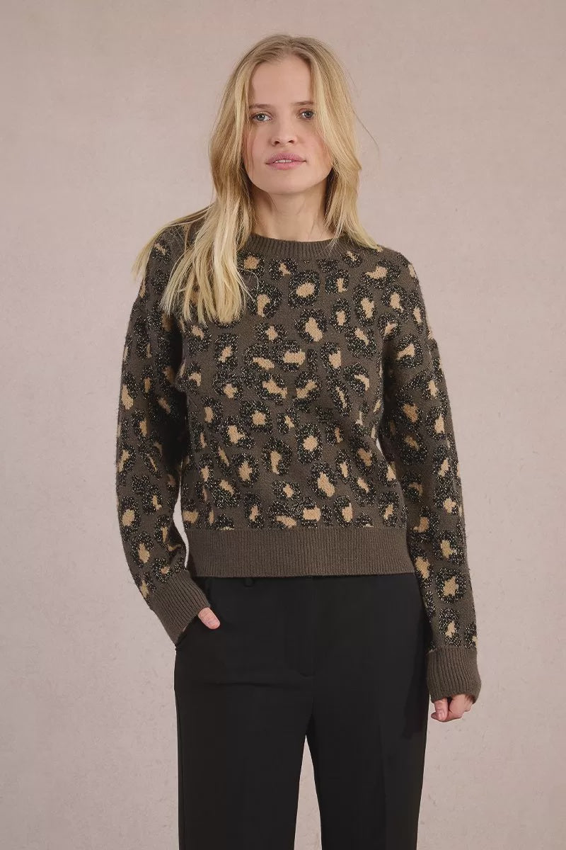 Molly Bracken Knitted sweater, leopard print