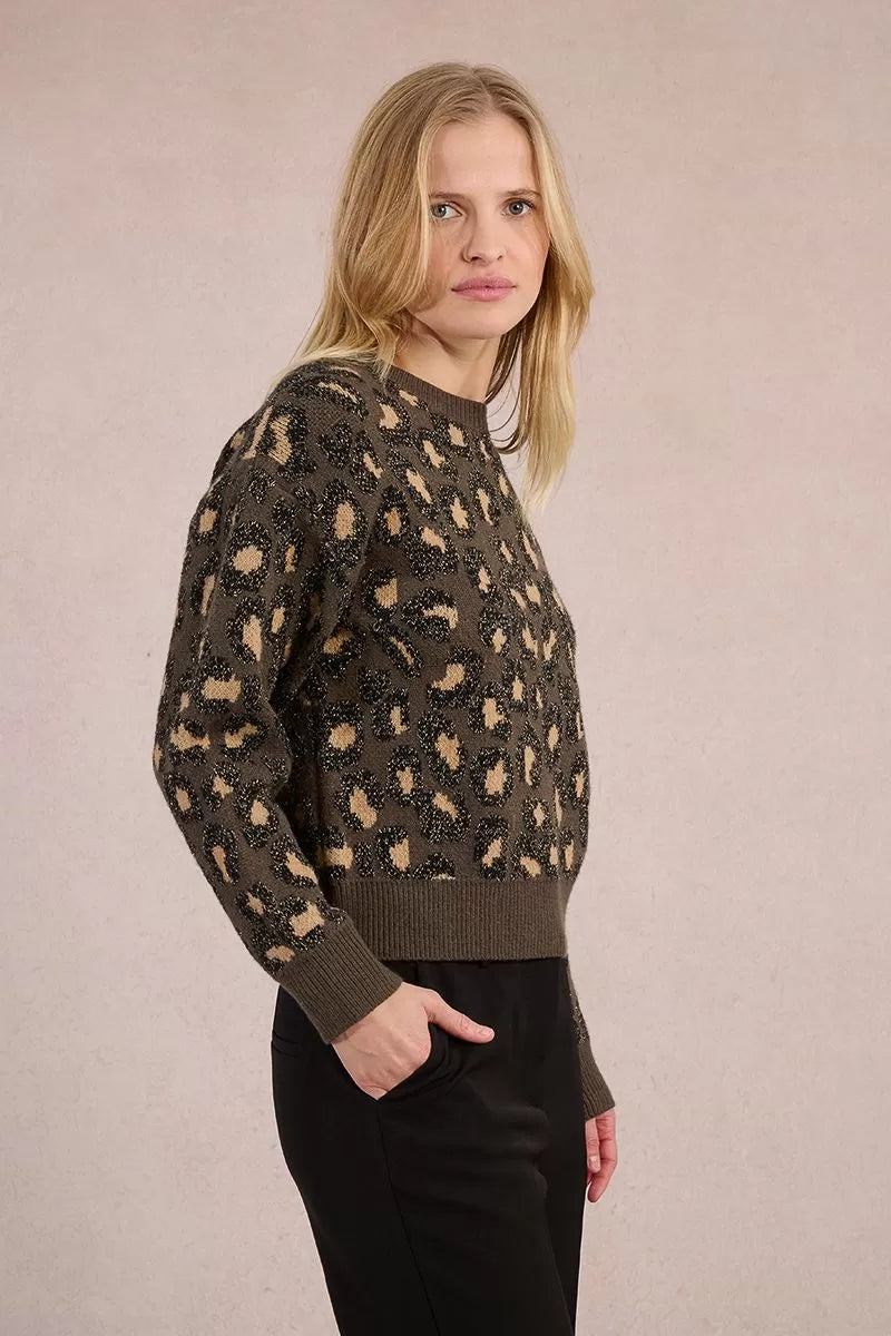 Molly Bracken Knitted sweater, leopard print